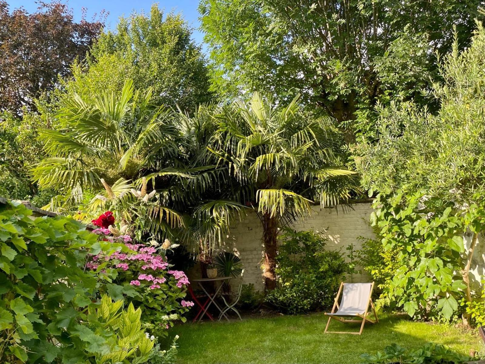 Bed and Breakfast A La Fleur D Oranger - Lille La Madeleine La Madeleine  Exterior foto